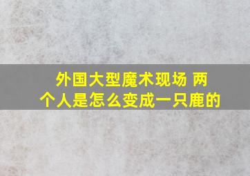 外国大型魔术现场 两个人是怎么变成一只鹿的